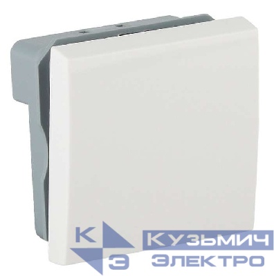 Выключатель модульный 1-кл. 2мод. 10А IP20 45х45мм бел. Рувинил АДЛ 13-904