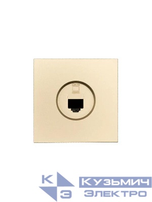 Розетка компьютерная 1-мест. СП ZIMA IP20 зол. LEZARD 704-3688-140