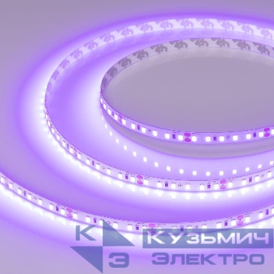 Лента светодиодная RT-A120-8mm 24В Violet 9.6Вт IP20 2835 (уп.5м) Arlight 043384