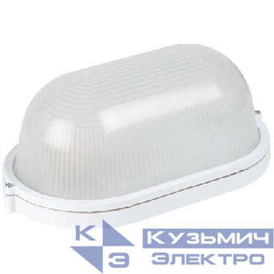 Светильник "Акватермо" НБП 04-100-001 max 60Вт E27 IP54 280х160 овал алюм./стекло бел. ЭРА Б0048424