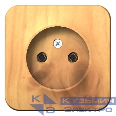 Розетка 1-м ОП Blanca 16А IP20 250В без заземл. без защ. шторок ясень SE BLNRA000105