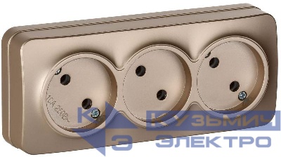 Розетка 3-м ОП GLORY РС23-2-ХШм 10А без заземл. без защ. шторок шампань матов. IEK ERH30-K37M-10