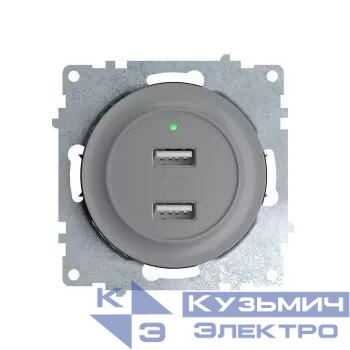 Розетка USB 2-м СП Florence 16А IP20 с подсветкой механизм сер. (1E10351302) OneKeyElectro 2260091