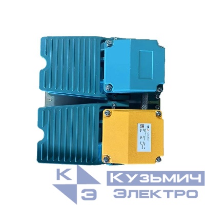 Выключатель ножной OptiLiS GFS-52 2 педали M20 КЭАЗ 365342