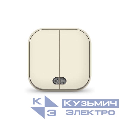 Выключатель 2-кл. 1п ОП 10А IP20 с подсветкой сл. кость IONICH 1426