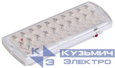 Светильник светодиодный ДПА 2101 30LED IP20 4ч аварийный аккум. IEK LDPA0-2101-30-K01
