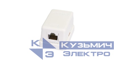 Розетка компьютерная 1-м ОП RJ45 (8P8C) кат.5E неэкранир. класс D 100МГц 110 T568A/B бел. (уп.10шт) NETLAN EC-UWO-1-UD2-WT-10