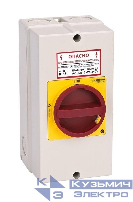 Выключатель-разъединитель главный аварийный 3п 63А IP65 закрытого исп. с замком SE MSD63311R
