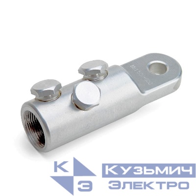 Наконечник болтовой 3НБЕ-800 КВТ 69487