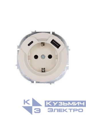 Розетка 1-м СП OSEN с заземл. TC + USB разъем механизм сл. кость LEZARD 743-9088-181TC