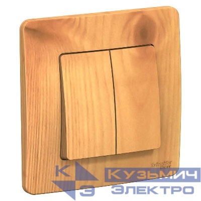 Выключатель 2-кл. СП Blanca 10А IP20 (сх. 5) 250В ясень SE BLNVS010505