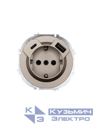 Розетка 1-м СП OSEN с заземл. TC + USB разъем механизм титан LEZARD 743-3788-181TC