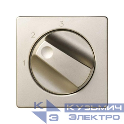 Накладка на 75234-39 Simon82/82Nature шампань 82084-34