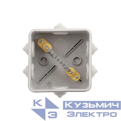 Коробка уравнивания потенциалов ОП 100х100х50мм IP55 винт Rexant 28-3051