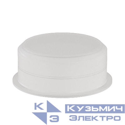 Заглушка для труб d25 DKC 50925