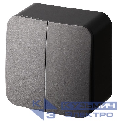 Выключатель 2-кл. ОП 10А IP20 антрацит Jasmart FS3023B