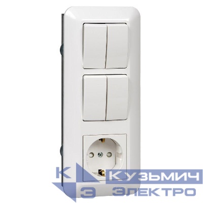 Блок СП Blanca / Прима (розетка с заземл. + 2-кл. + 2-кл. выкл.) (розн. упак.) бел. SE BK2VR-008B-BI