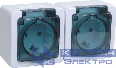 Розетка 2-м ОП Гермес Plus РСб22-3-ГПБд 16А IP54 с заземл. с дым. крышкой бел. IEK ERMP22-K03-16-54-EC