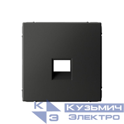 Накладка информационная ArtGallery типа Keystone базальт SE GAL001484