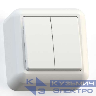 Выключатель 2-кл. ОП Оптима 10А IP20 А510-380 с монтаж. пластиной сл. кость Кунцево 8033