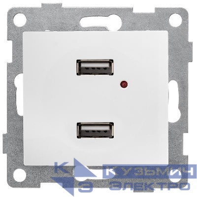 Розетка USB 2-м СП Bravo механизм бел. GUSI С10USB2-001