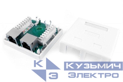 Розетка компьютерная 2-м ОП SB1-2-8P8C-C6-SH-WH RJ45 (8P8C) кат.6 экранир. Dual IDC Hyperline 430237
