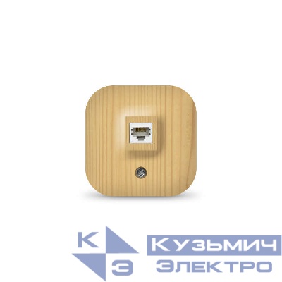 Розетка компьютерная ОП IP20 сосна IONICH 1443