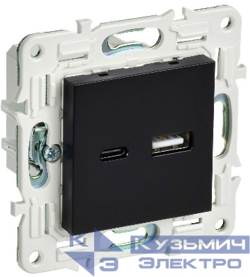 Розетка USB A+C 3.1А SKANDY SK-R14Bl черн. IEK SK-U22-D31-K02
