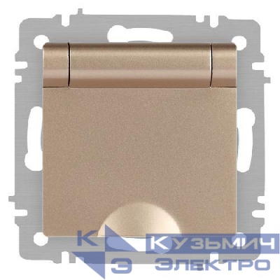 Розетка 1-м СП Accent 6-203-04 16А IP20 250В 2P+E Schuko с крышкой шампань Intro Б0063738