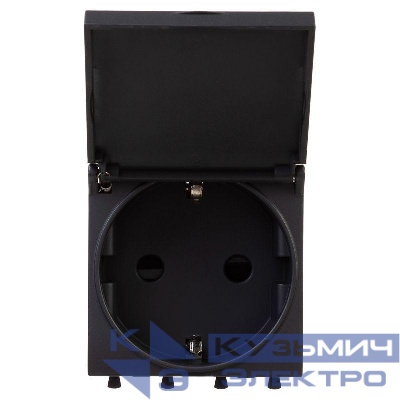 Розетка 1-м 2мод. Avanti "Черный матовый" 16А 2P+E защ. шторки с крышкой черн. DKC 4412012