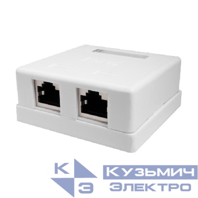 Розетка компьютерная 2м 8P8C (RJ-45) FTP кат.5E SUPRLAN 10-0308