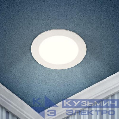 Светильник светодиодный 1-12 12Вт 220В 4000К круглый Эра Б0017488