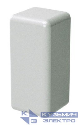 Заглушка LM 50х20 (розн. упак. 2шт) DKC 00651R