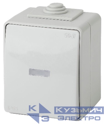 Выключатель 1-кл. ОП Эра Эксперт 10А IP65 11-1602-03 250В 10AX с подсветкой сер. Эра Б0035974