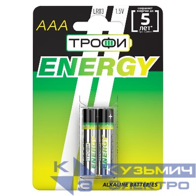 Элемент питания алкалиновый AAA/LR03 LR03-2BL Eco (блист.2шт) Трофи Б0017043