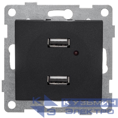 Розетка USB 2-м СП Bravo механизм графит GUSI С10USB2-010