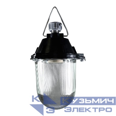 Светильник НСП 11-100-414Ф "Буран Ф" IP52 корпус карболит Элетех 1005550284