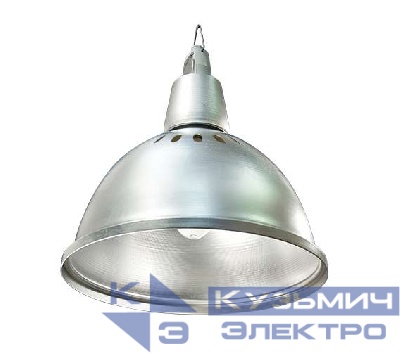 Светильник НСП17-500-001 Ардатов 1017500001