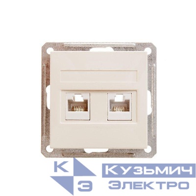 Розетка компьютерная 2-м СП W59 RJ45 кат.5E механизм сл. кость SE RSI-251KK5E-2-86