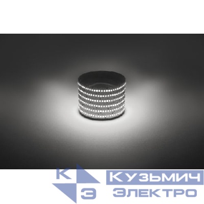 Лента светодиодная LS2835 -19.2-240-12-4000K-IP20-1 year-5m нейтр. бел. (уп.5м) Эра Б0059907