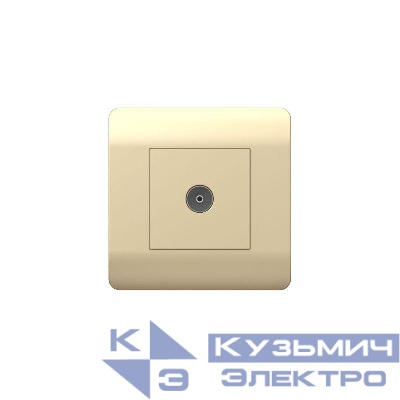 Розетка телевизионная одиночная TV NEW3-E коннектор шампань CHINT 431410