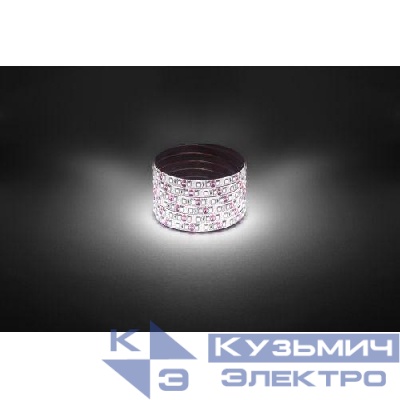 Лента светодиодная LS2835 -9.6-120-12-4000K-IP65-1 year-5m нейтр. бел. (уп.5м) Эра Б0059902