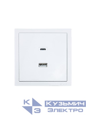 Розетка Type-C+ USB разъем СП ZIMA IP20 бел. LEZARD 704-0288-192TC