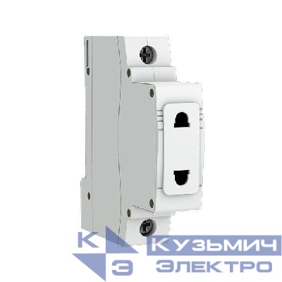 Розетка РД-47 240В на DIN-рейку PROxima EKF mds-47-pro