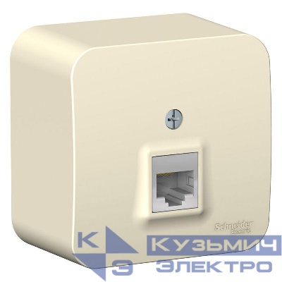 Розетка компьютерная 1-м ОП Blanca RJ45 кат.5E с изолир. пластиной молочн. SE BLNIA045002