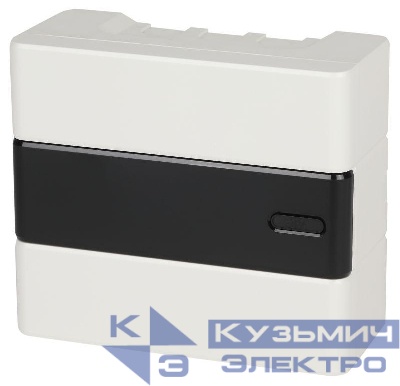 Щит распределительный навесной ЩРН-П-08 Trend BOXS-08-p-s-t IP41 ЭРА Б0052638