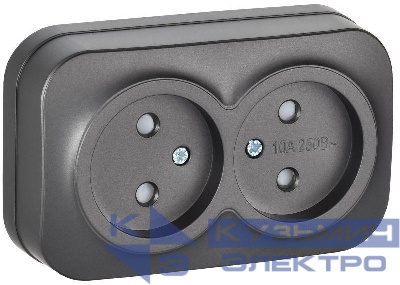 Розетка 2-м ОП GLORY РСш22-2-ХСм 10А без заземл. защ. шторки сталь матов. IEK ERH23-K46M-10