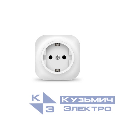 Розетка 1-м ОП 16А IP20 с заземл. бел. IONICH 1416