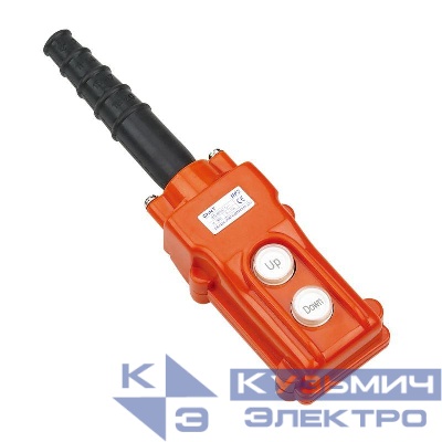 Пульт кнопочный NP3-1 на 2 кнопки IP65 CHINT 586017