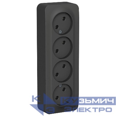 Розетка 4-м ОП Blanca 16А IP20 250В без заземл. без защ. шторок с изолир. пластиной антрацит SE BLNRA000416